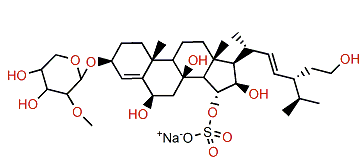 Echinasteroside E